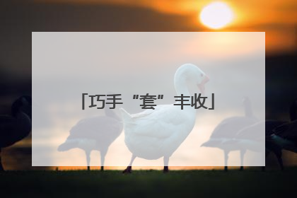 巧手“套”丰收