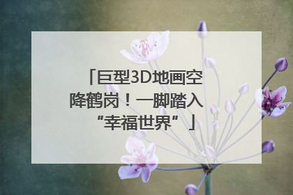 巨型3D地画空降鹤岗！一脚踏入“幸福世界”