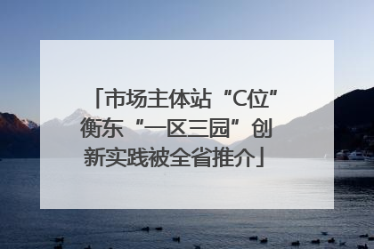 市场主体站“C位” 衡东“一区三园”创新实践被全省推介