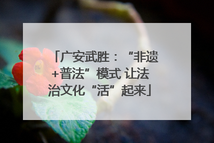 广安武胜：“非遗+普法”模式 让法治文化“活”起来