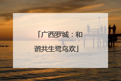 广西罗城：和谐共生鹭鸟欢