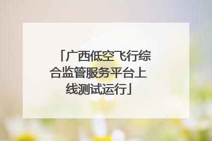 广西低空飞行综合监管服务平台上线测试运行