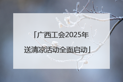 广西工会2025年送清凉活动全面启动