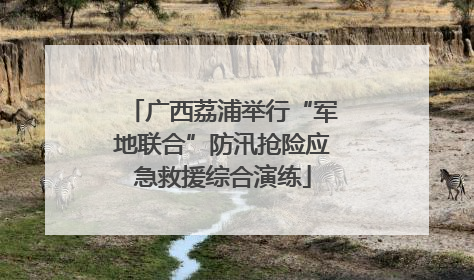 广西荔浦举行“军地联合”防汛抢险应急救援综合演练
