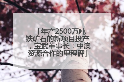 年产2500万吨铁矿石的新项目投产，宝武董事长：中澳资源合作的里程碑