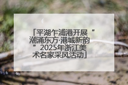 平湖乍浦港开展“潮涌东方·港城新韵”2025年浙江美术名家采风活动