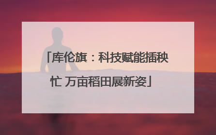 库伦旗：科技赋能插秧忙 万亩稻田展新姿