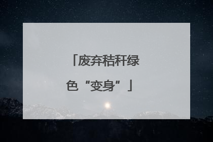 废弃秸秆绿色“变身”