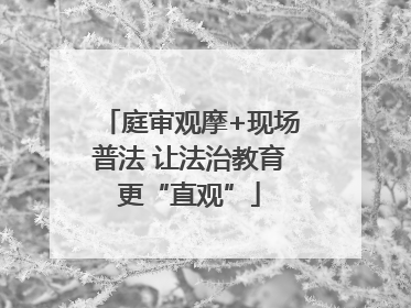 庭审观摩+现场普法 让法治教育更“直观”