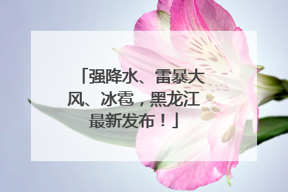 强降水、雷暴大风、冰雹，黑龙江最新发布！