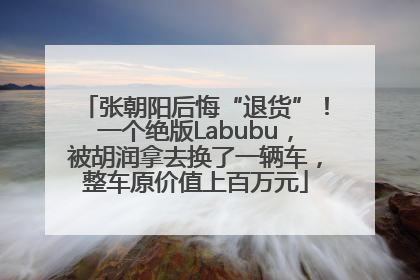 张朝阳后悔“退货”！一个绝版Labubu，被胡润拿去换了一辆车，整车原价值上百万元