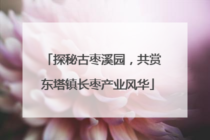 探秘古枣溪园，共赏东塔镇长枣产业风华