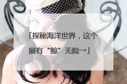 探秘海洋世界，这个展有“鲸”无险→
