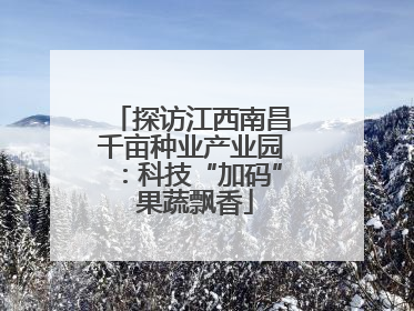 探访江西南昌千亩种业产业园：科技“加码” 果蔬飘香