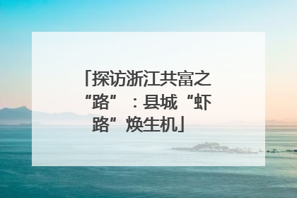 探访浙江共富之“路”：县城“虾路”焕生机