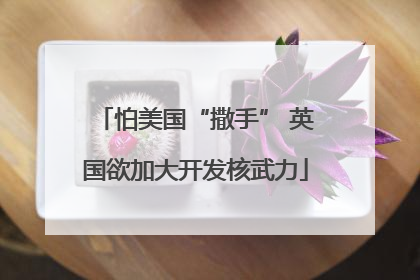 怕美国“撒手” 英国欲加大开发核武力