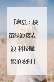 息县：秧苗绿浪接麦浪 科技赋能抢农时
