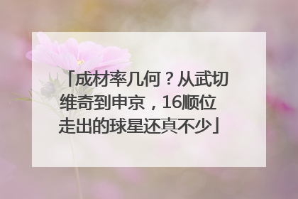 成材率几何？从武切维奇到申京，16顺位走出的球星还真不少