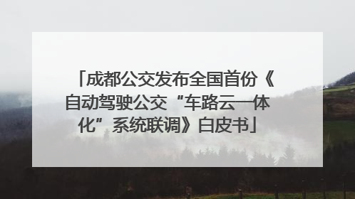 成都公交发布全国首份《自动驾驶公交“车路云一体化”系统联调》白皮书