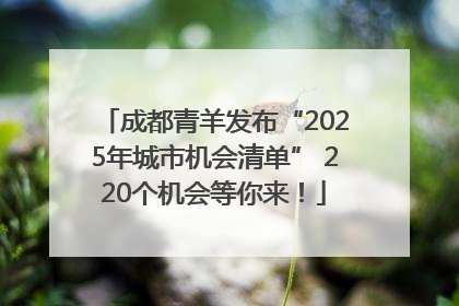 成都青羊发布“2025年城市机会清单” 220个机会等你来！