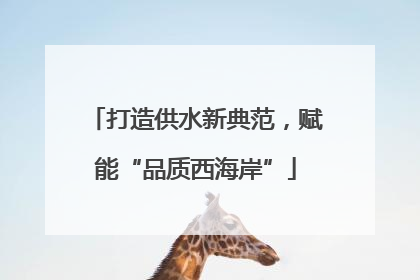 打造供水新典范，赋能“品质西海岸”