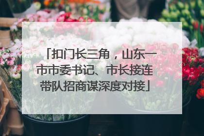 扣门长三角，山东一市市委书记、市长接连带队招商谋深度对接