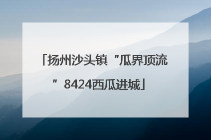 扬州沙头镇“瓜界顶流”8424西瓜进城