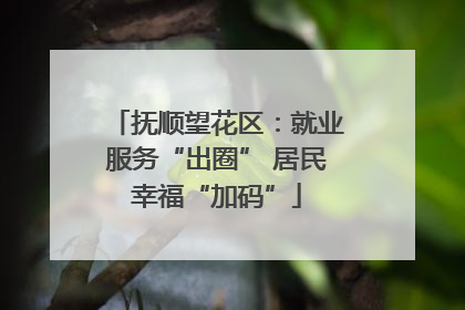 抚顺望花区：就业服务“出圈” 居民幸福“加码”