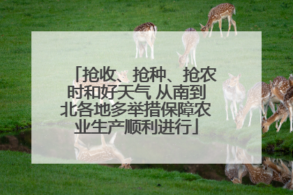 抢收、抢种、抢农时和好天气 从南到北各地多举措保障农业生产顺利进行