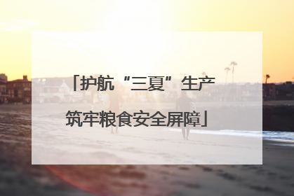 护航“三夏”生产 筑牢粮食安全屏障