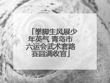 拳脚生风展少年英气 青岛市六运会武术套路赛圆满收官