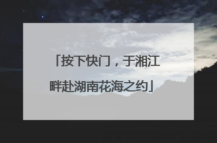 按下快门，于湘江畔赴湖南花海之约