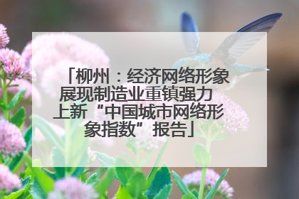 柳州：经济网络形象展现制造业重镇强力 上新“中国城市网络形象指数”报告