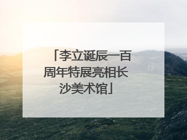 李立诞辰一百周年特展亮相长沙美术馆