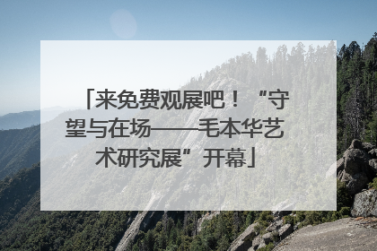 来免费观展吧！“守望与在场——毛本华艺术研究展”开幕