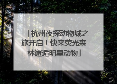 杭州夜探动物城之旅开启！快来荧光森林邂逅明星动物