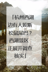 杭州西湖边有人拔断松鼠尾巴？西湖景区：正展开调查核实