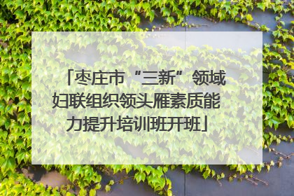 枣庄市“三新”领域妇联组织领头雁素质能力提升培训班开班