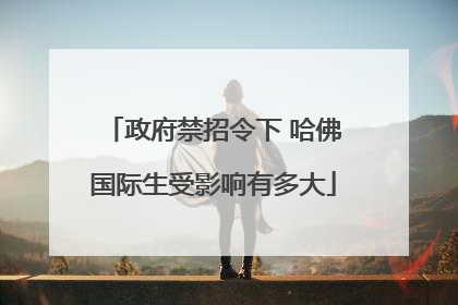 政府禁招令下 哈佛国际生受影响有多大
