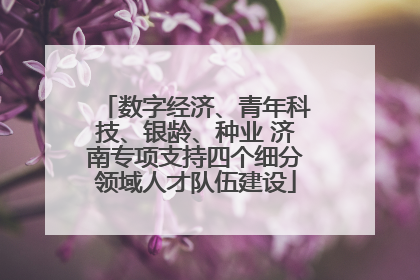 数字经济、青年科技、银龄、种业 济南专项支持四个细分领域人才队伍建设
