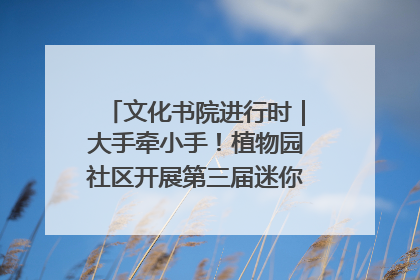 文化书院进行时｜大手牵小手！植物园社区开展第三届迷你马拉松活动