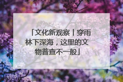 文化新观察丨穿雨林下深海，这里的文物普查不一般