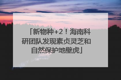 新物种+2！海南科研团队发现素贞灵芝和自然保护地壁虎