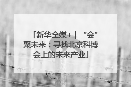 新华全媒+｜“会”聚未来：寻找北京科博会上的未来产业