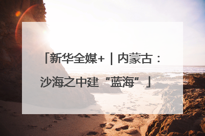 新华全媒+｜内蒙古：沙海之中建“蓝海”