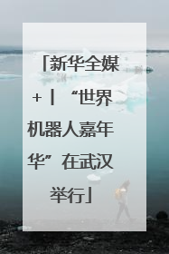 新华全媒+丨“世界机器人嘉年华”在武汉举行