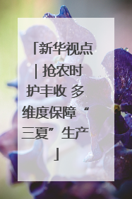 新华视点｜抢农时 护丰收 多维度保障“三夏”生产