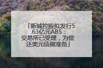 新城控股拟发行5.63亿元ABS：交易所已受理，为偿还美元债做准备