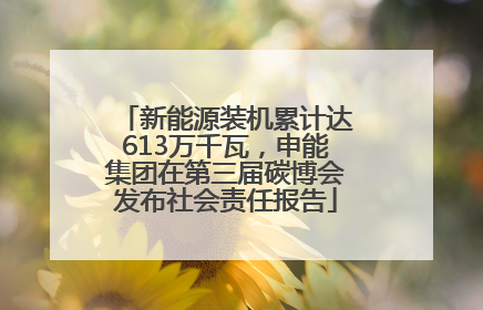 新能源装机累计达613万千瓦，申能集团在第三届碳博会发布社会责任报告