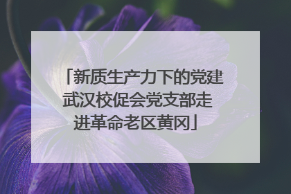 新质生产力下的党建 武汉校促会党支部走进革命老区黄冈